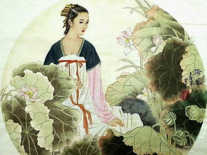 Wang Zhenyi: Astronomer, Mathematician, and Poet